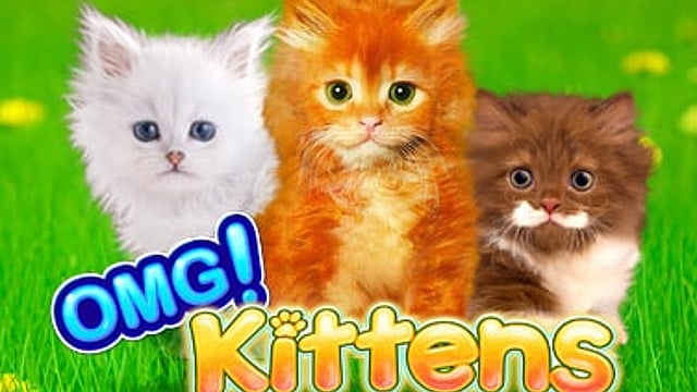 OMG! Kittens Slot-Spiel