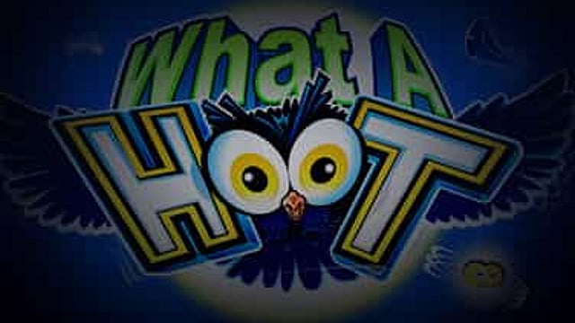 What A Hoot