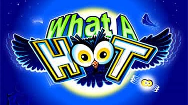 What A Hoot