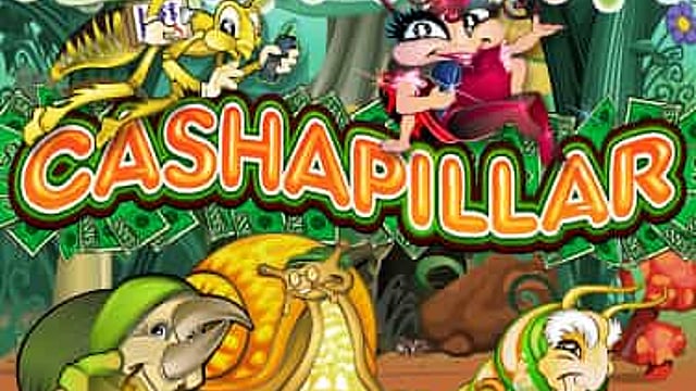 Cashapillar