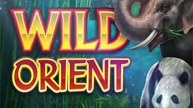 Wild Orient