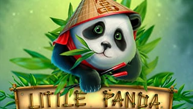 Little Panda