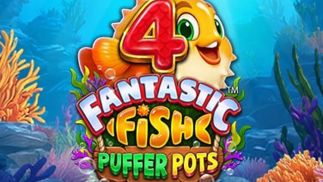 4 Fantastic Fish Puffer Pots