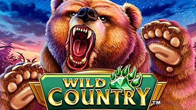 Wild Country