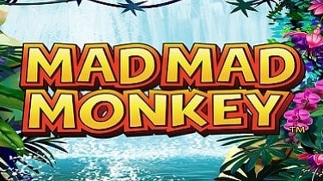 Mad Mad Monkey HQ