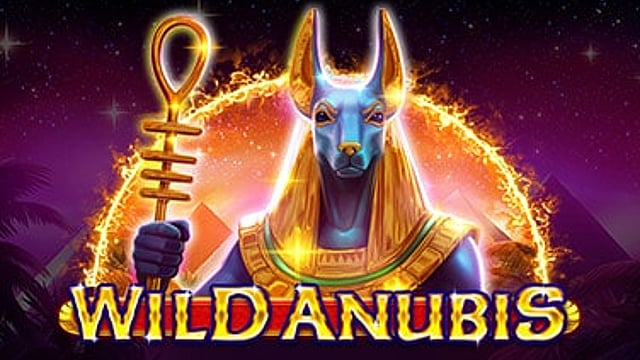 Wild Anubis