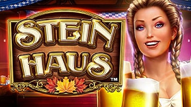 Stein Haus™