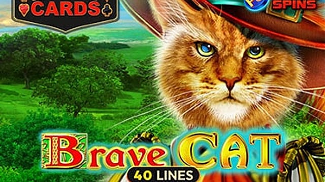 Brave Cat