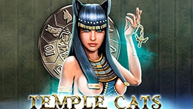 Temple Cats