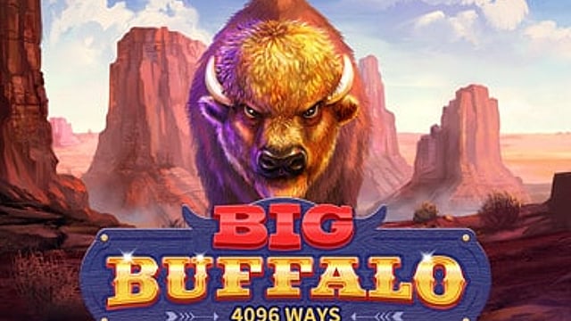 Big Buffalo