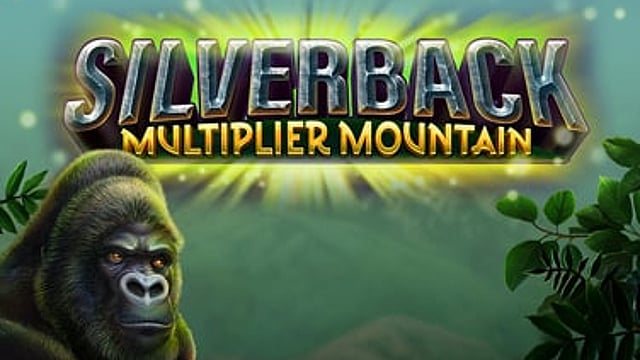 Silverback: Multiplier Mountain