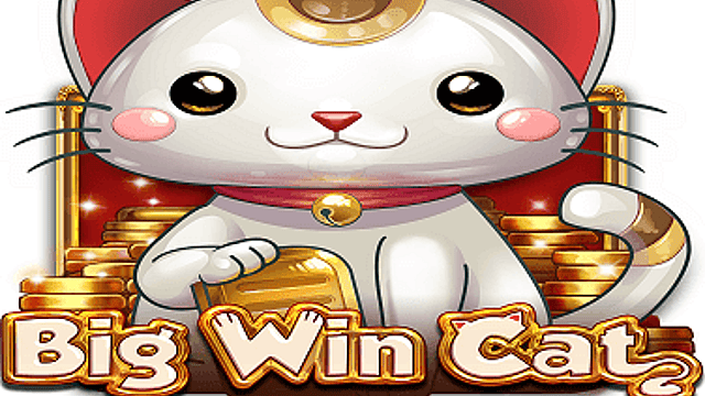 Big Win Cat