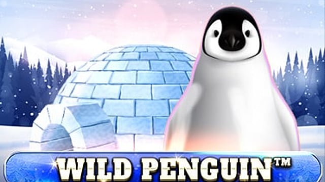 Wild Penguin