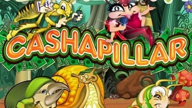 Cashapillar