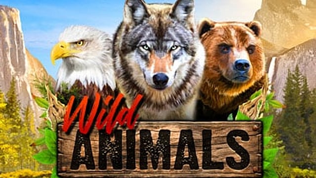 Wild Animals