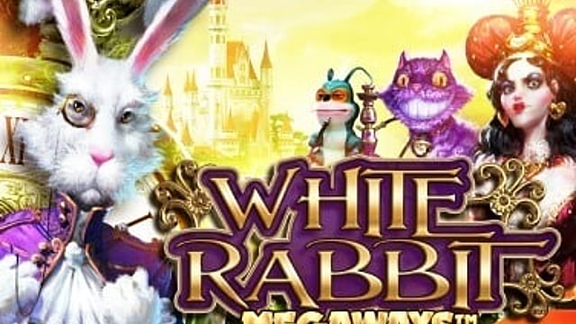 White Rabbit