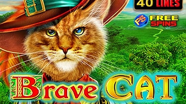 Brave Cat