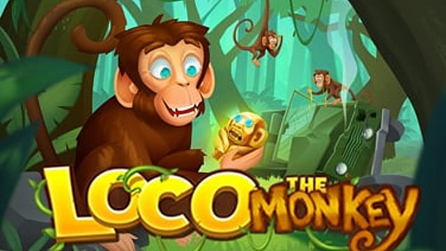 Loco The Monkey