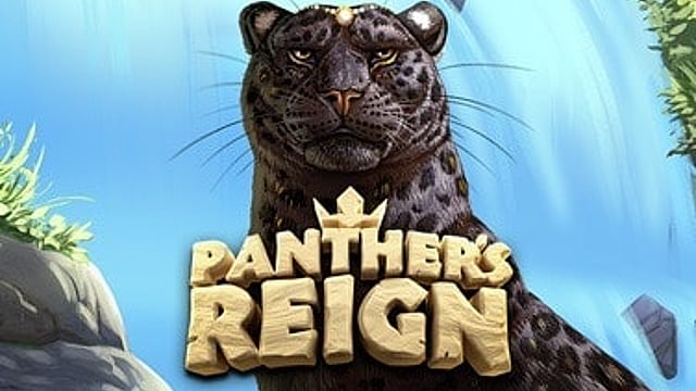 Panther's Reign