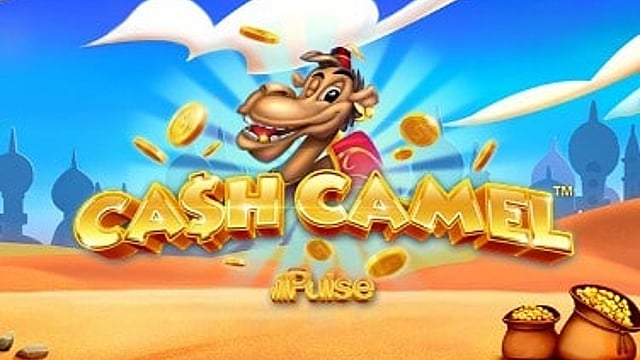 Cash Camel