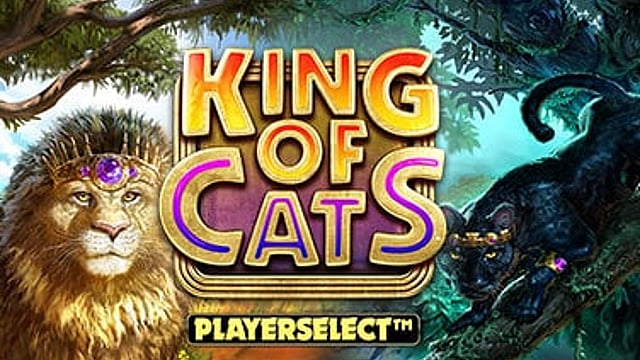King of Cats