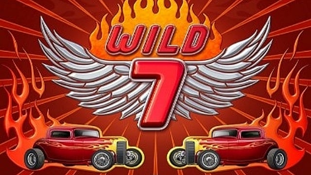 Wild 7