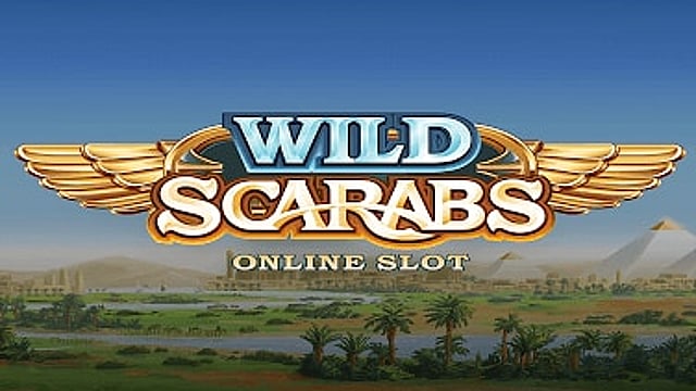 Wild Scarabs
