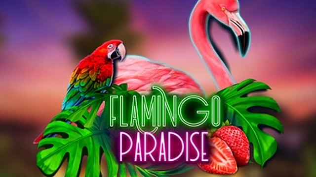 Flamingo Paradise
