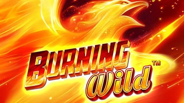 Burning Wild