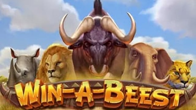 Win A Beest