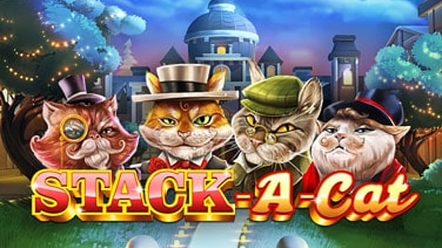 Stack -A-Cat