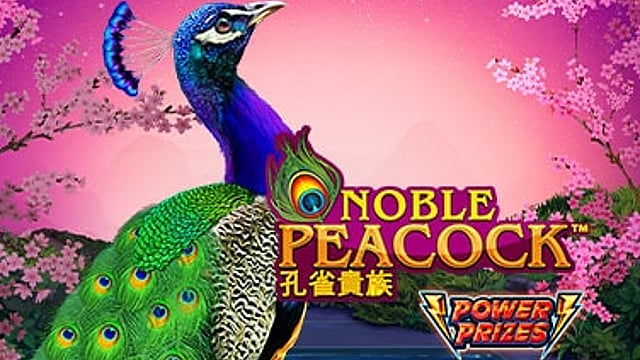 POWER PRIZES™ – Noble Peacock™