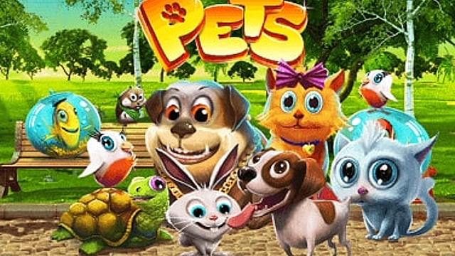 Pets