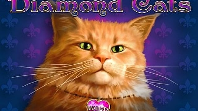 Diamond Cats