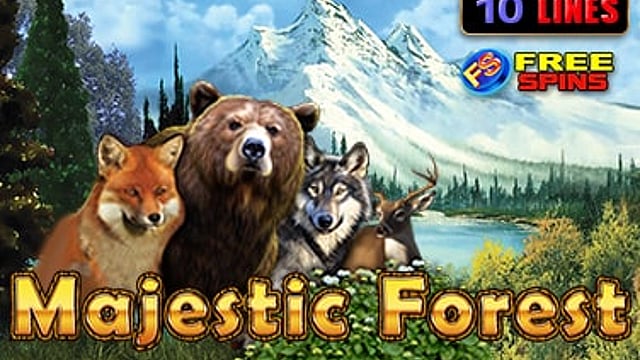 Majestic Forest