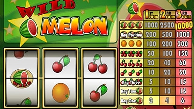 Wild Melon