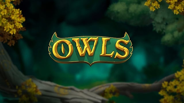 Owls