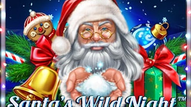 Santa’s Wild Night