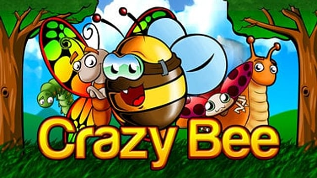 Crazy Bee
