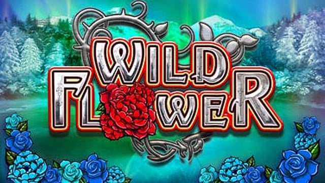 Wild Flower