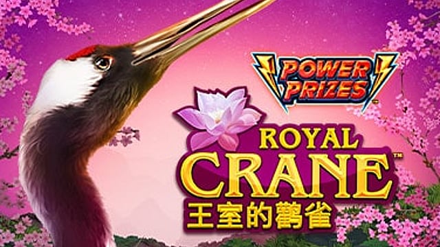Power Prizes Royal Crane