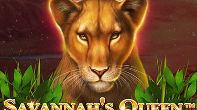 Savannah's Queen