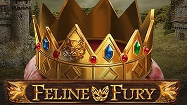 Feline Fury