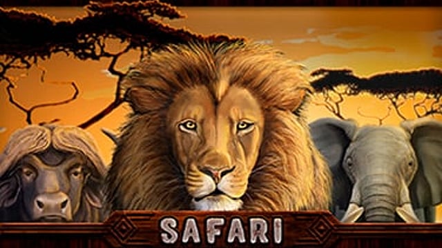 Safari