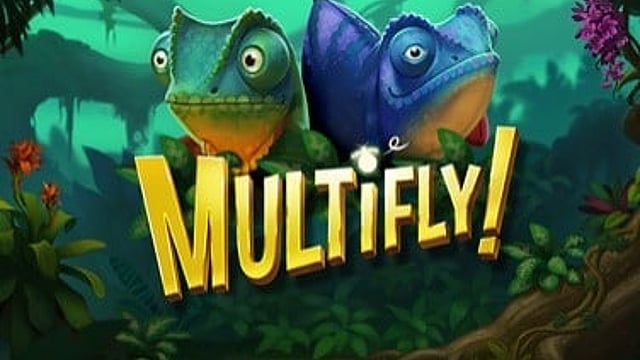 Multifly