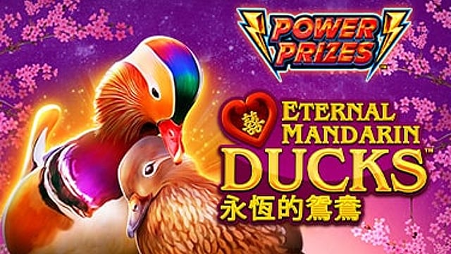 Power Prizes Eternal Mandarin Ducks