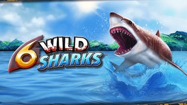 6 Wild Sharks