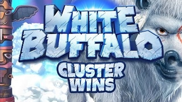 White Buffalo