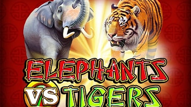 Elephants vs Tigers