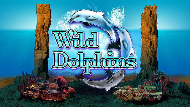Wild Dolphins